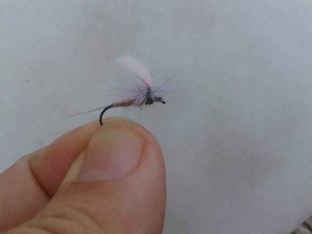 20140905_175622