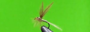 Lee más sobre el artículo La Josu Fly; una gran mosca para disfrutar durante y después…