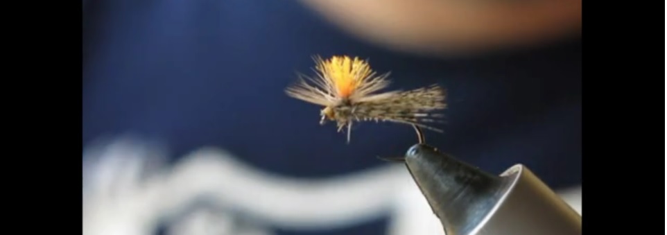 En este momento estás viendo Montaje: Tricóptero GDL Flor de Escoba Parachute (vídeo)