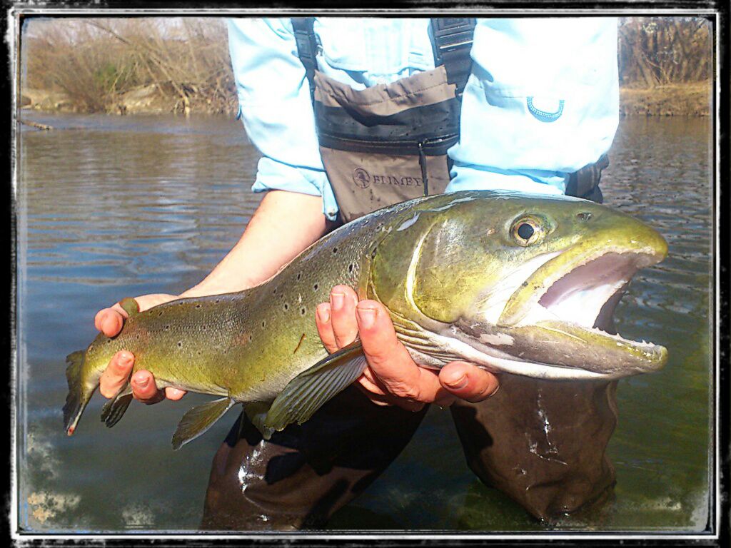 IMG-20150224-WA0034