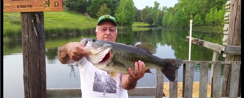 En este momento estás viendo Vídeo: El hombre que hipnotiza a los peces  (pescando bass a mano)