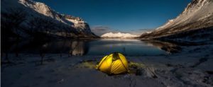 Lee más sobre el artículo Pescado en la Red: Arctic Seasons