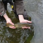 Influencia de la luna en la pesca recreativa ¿verdad?