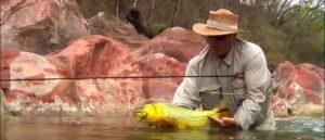 Lee más sobre el artículo Pescado en la Red: Backcountry Golden Dorado by Todd Moen