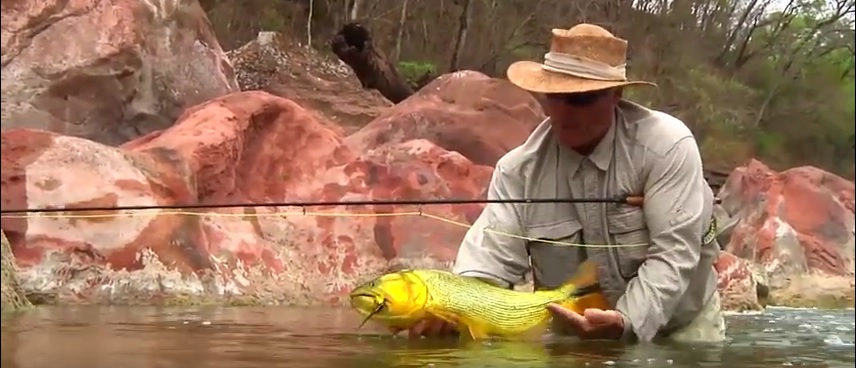En este momento estás viendo Pescado en la Red: Backcountry Golden Dorado by Todd Moen