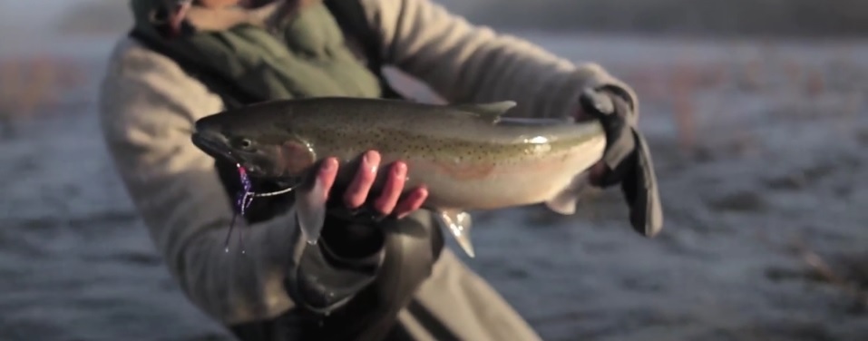 En este momento estás viendo Pescado en la Red: fly fishing collaborative