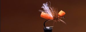 Lee más sobre el artículo Pescado en la Red: Cinnamon Flying Ant 4k