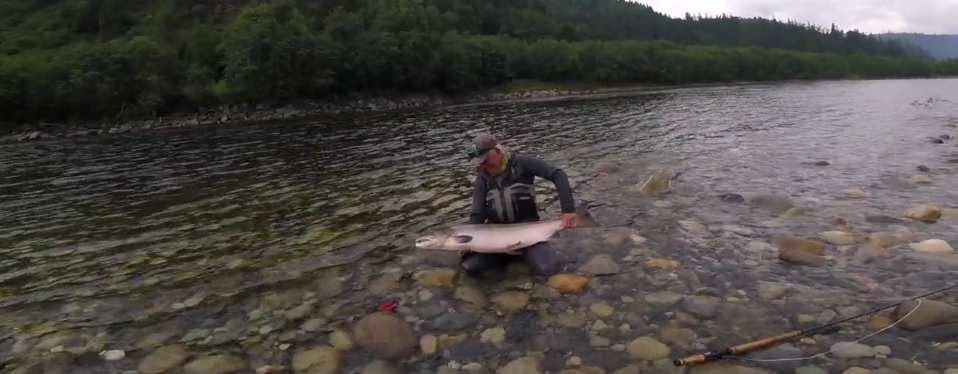 En este momento estás viendo Vídeo: Salmon Fishing in Gaula; Norwegian Fly Fishers Club