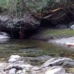 Unos instantes con la Tenkara