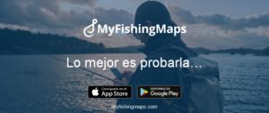 Lee más sobre el artículo ¿Dónde y cómo puedo pescar?