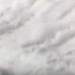 El muro infranqueable para las truchas (vídeo)