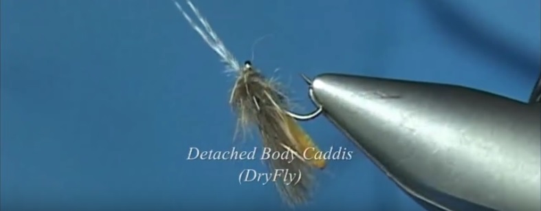En este momento estás viendo Vídeo atado moscas: Detached Body Caddis (Dryfly) whit Davie McPhail