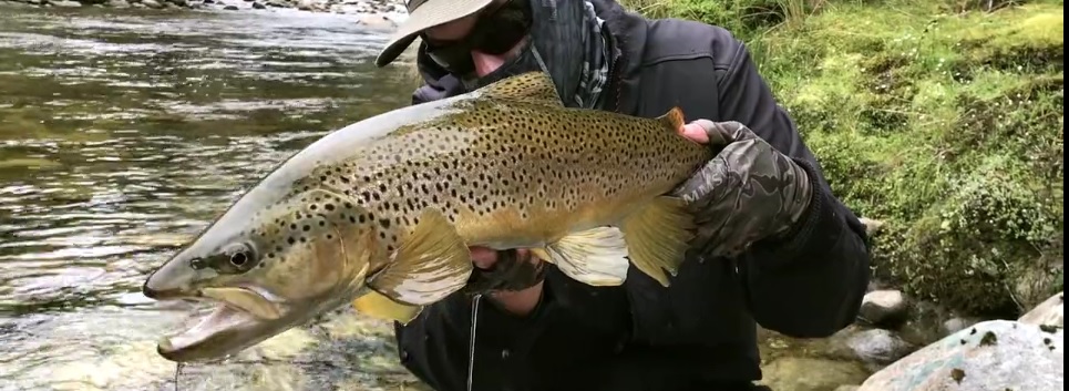 En este momento estás viendo Vídeo: NZ FLY FISHING, Traveltruly