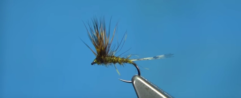 En este momento estás viendo Vídeo: Tying a Rough Olive Comparadun (Dry Fly) by Davie McPhail