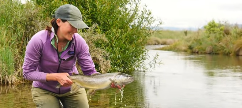 En este momento estás viendo Vídeo: As it Happens; Pheasant Tail, Pheasant Tail…