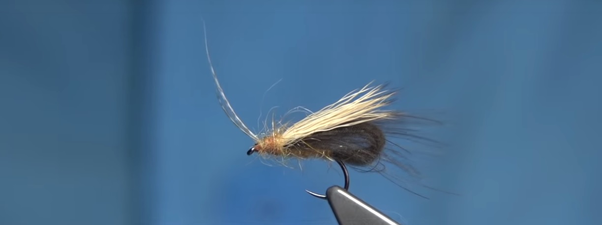 En este momento estás viendo Vídeo: Tying The Fox Caddis (CDC BUBBLE)