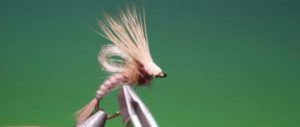 Lee más sobre el artículo Vídeo montaje mosca: Tying an loop wing emerging caddis Barry ord Clarke