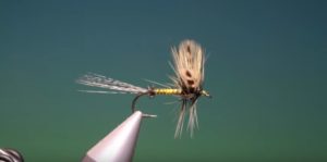 Lee más sobre el artículo Vídeos montaje moscas: Fly Tying-a spent green drake with Barry Ord Clarke