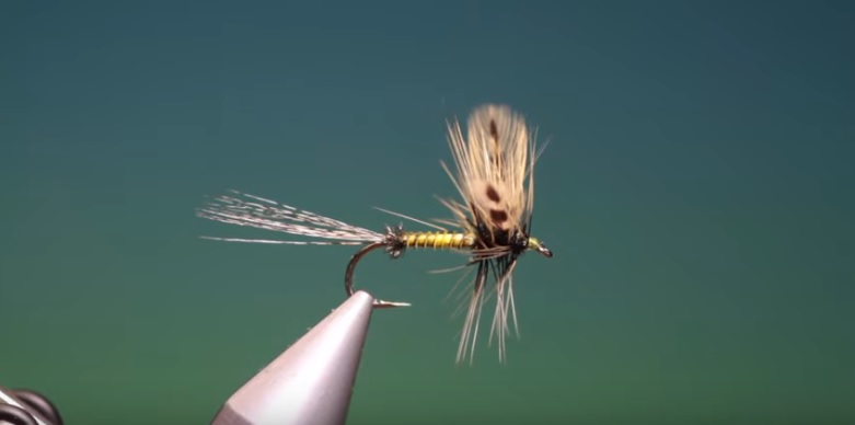 En este momento estás viendo Vídeos montaje moscas: Fly Tying-a spent green drake with Barry Ord Clarke