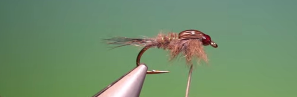 En este momento estás viendo Vídeo montaje mosca: Fly Tying a Muskrat Nymph