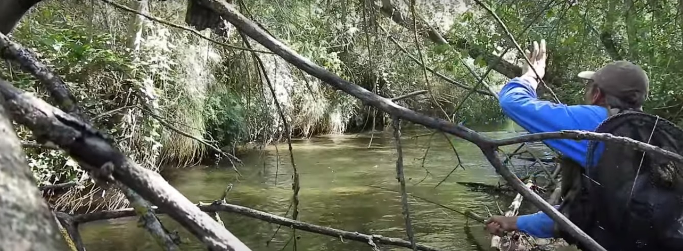 En este momento estás viendo Vídeo: Fly Fishing in Holes | Técnicas de Pesca a Mosca Seca en Ríos Pequeños