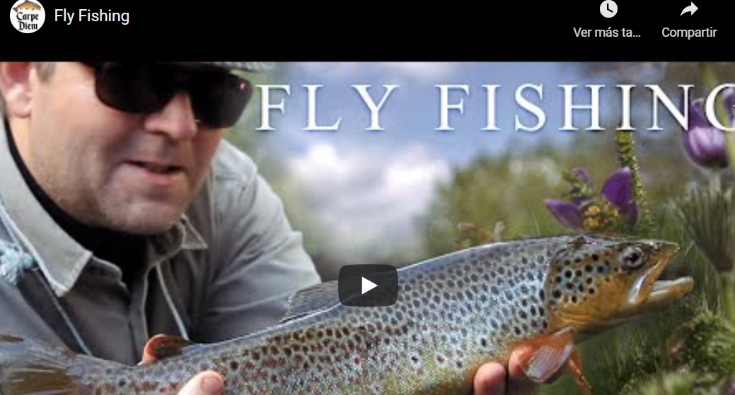 En este momento estás viendo Pescado en la red: Vídeo Fly Fishing, Carpe Diem